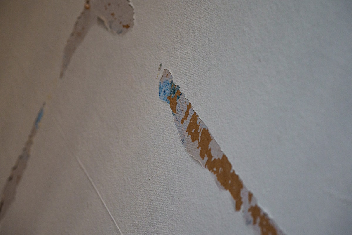 Water Extraction service in Round Lake Beach, IL