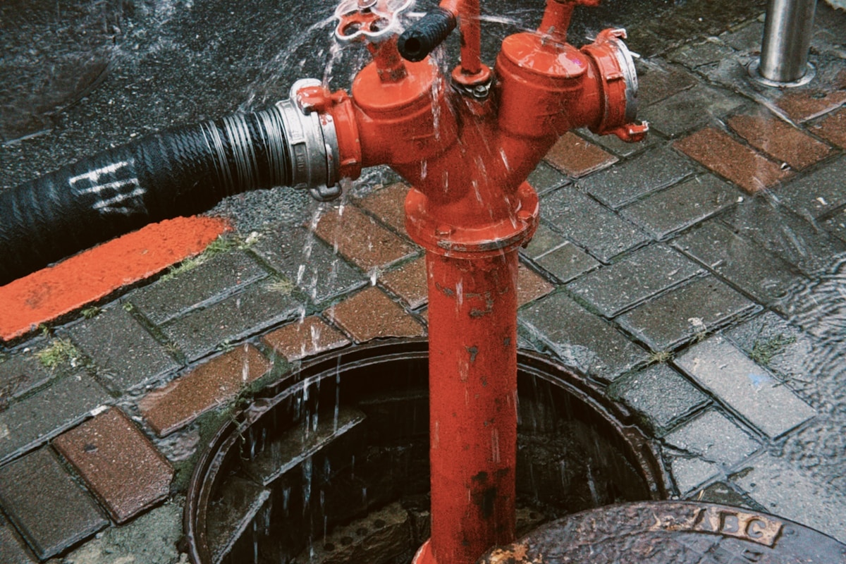 Water Extraction service in Round Lake Beach, IL